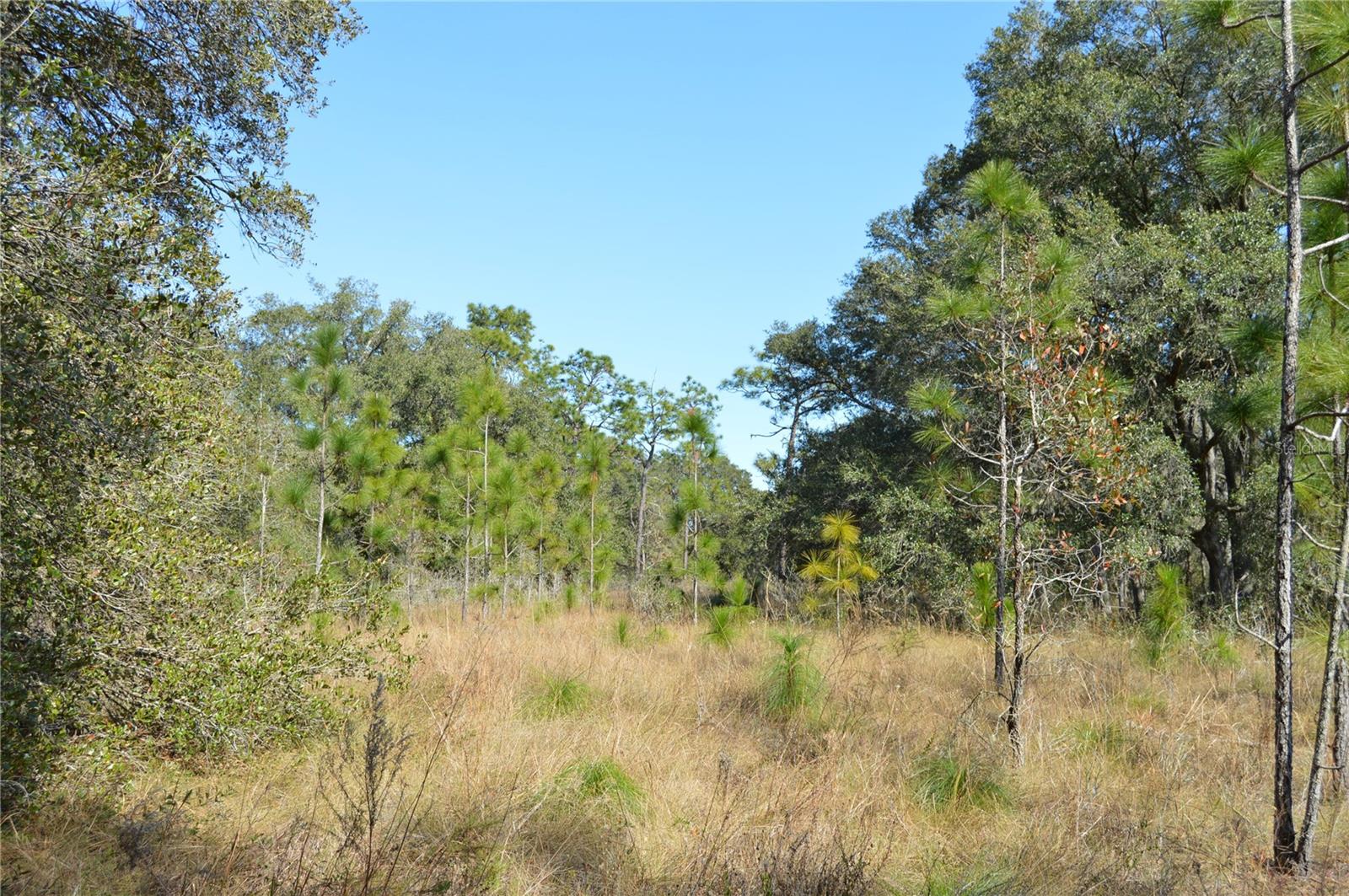 00 Unnamed Property Photo 5