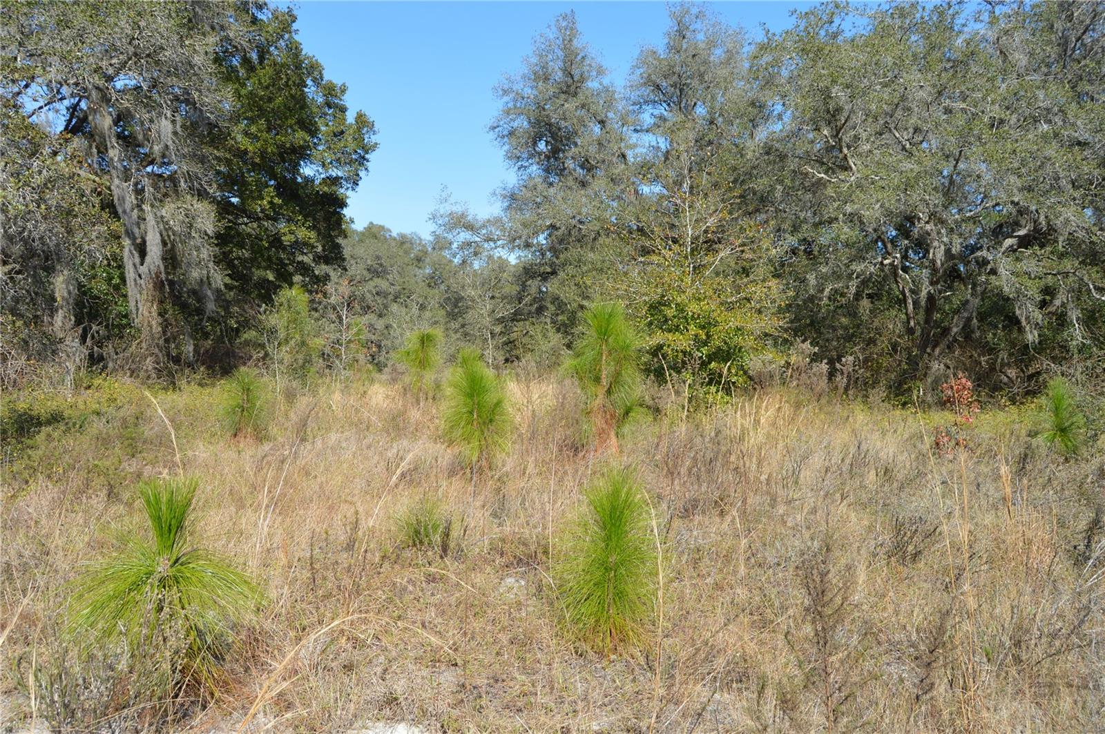 00 Unnamed Property Photo 8
