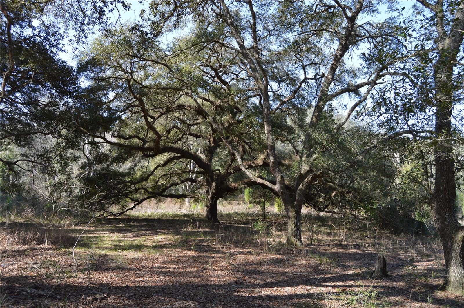 00 Unnamed Property Photo 11