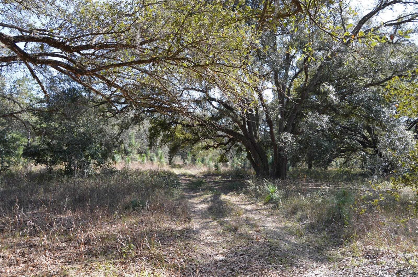 00 Unnamed Property Photo 12