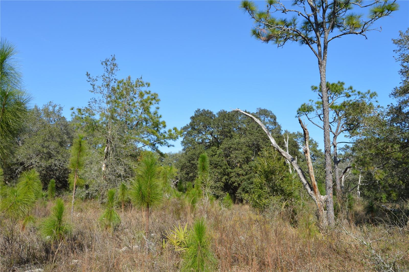 00 Unnamed Property Photo 13