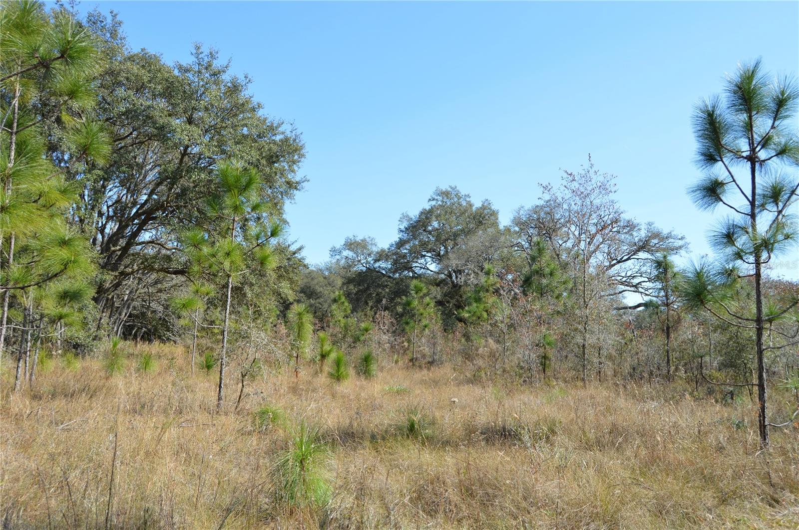 00 Unnamed Property Photo 14