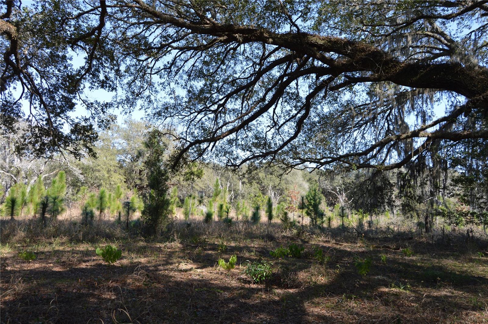 00 Unnamed Property Photo 15