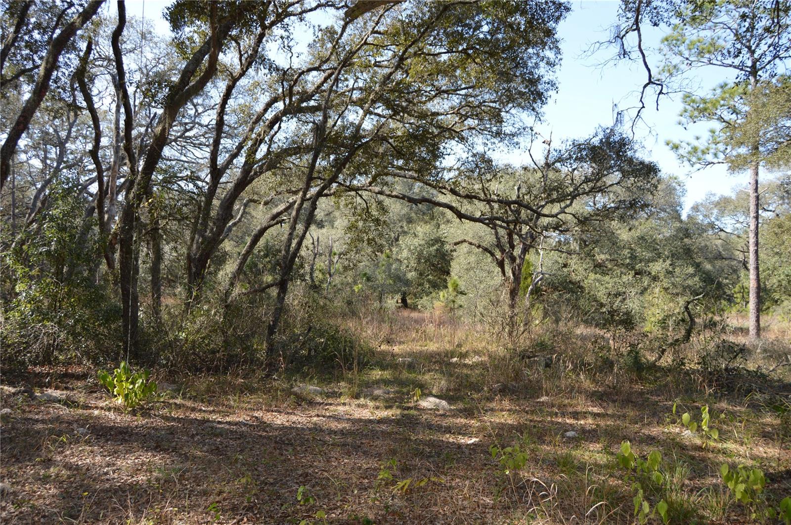 00 Unnamed Property Photo 16