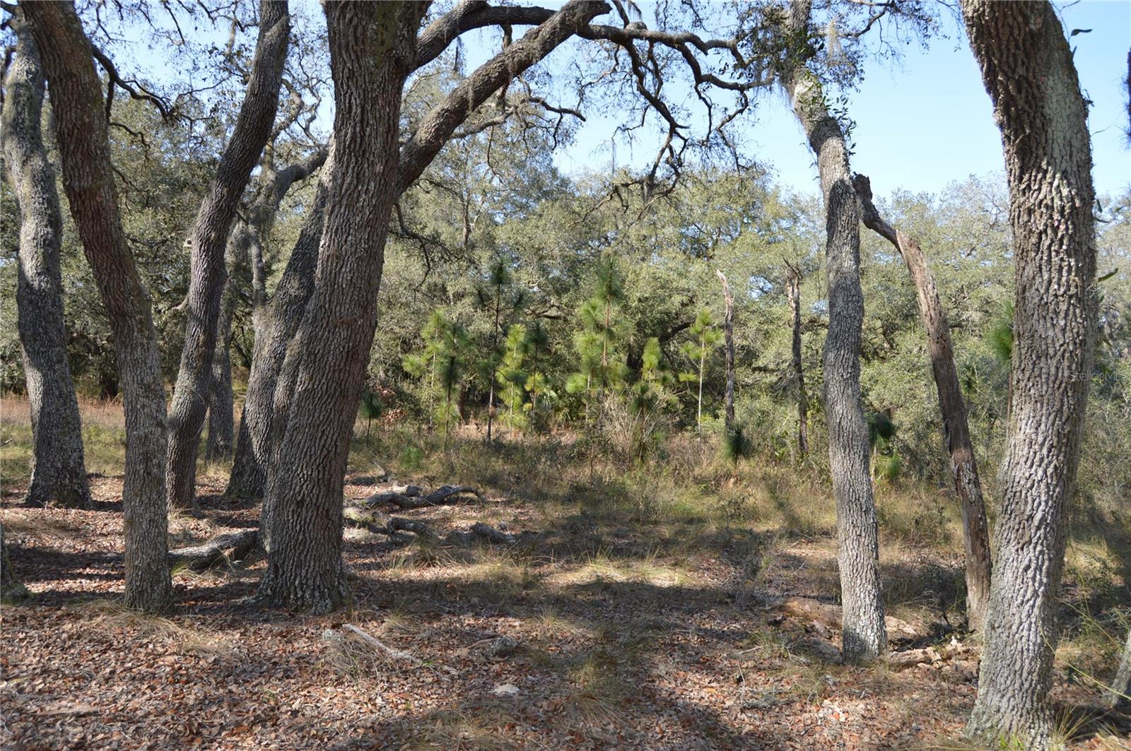 00 Unnamed Property Photo 17
