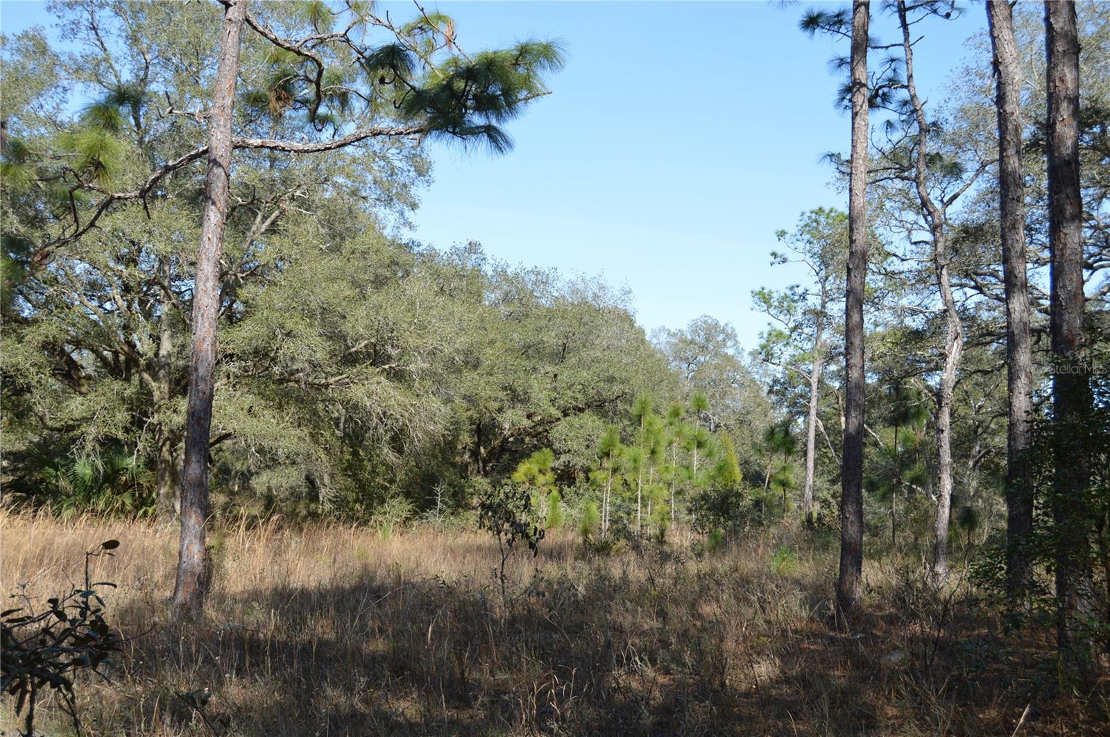 00 Unnamed Property Photo 18