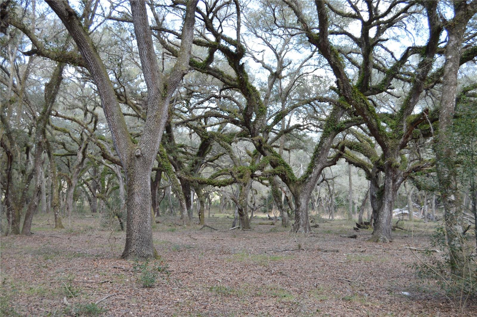 00 Unnamed Property Photo 19