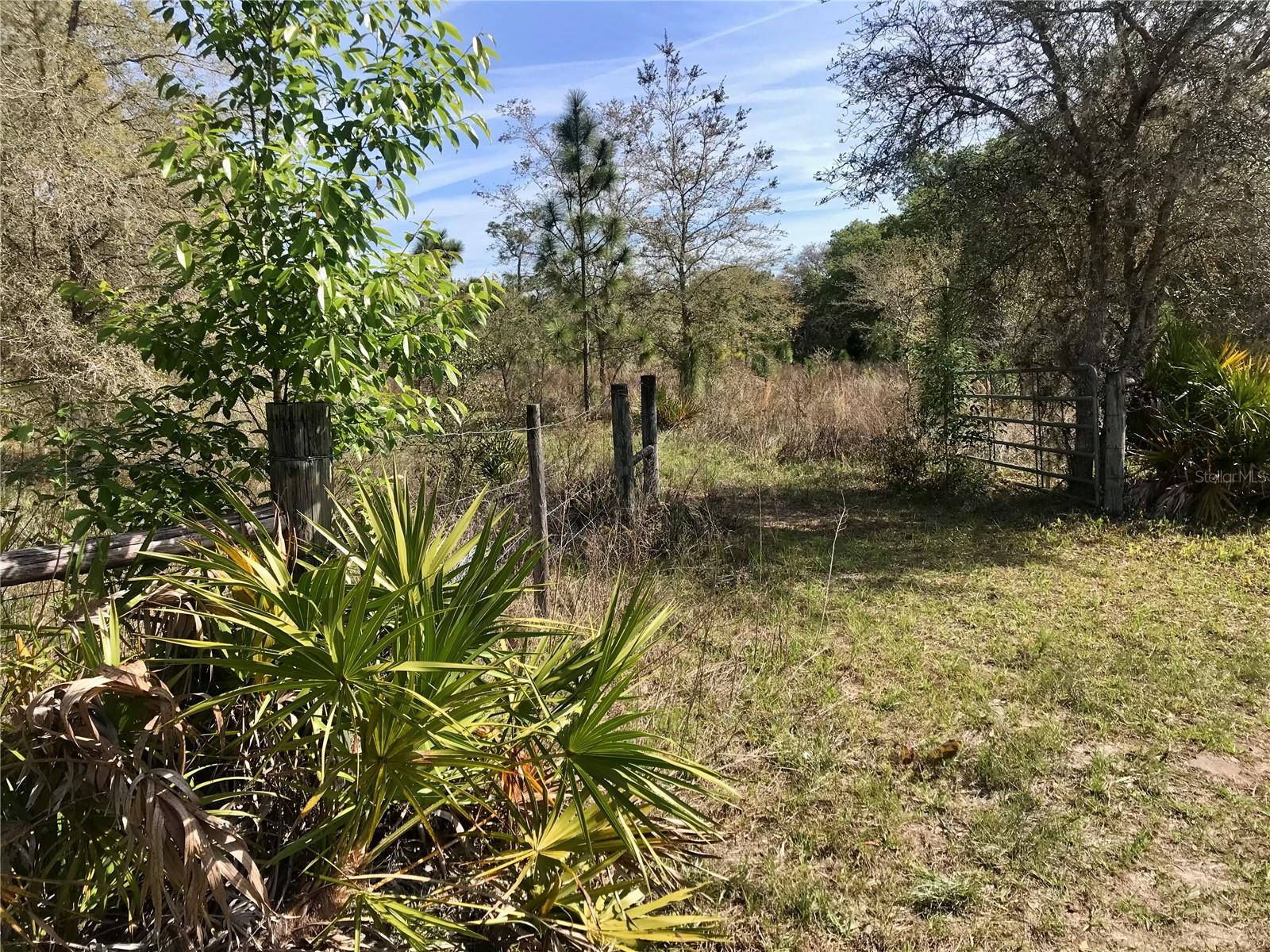 00 Unnamed Property Photo 43