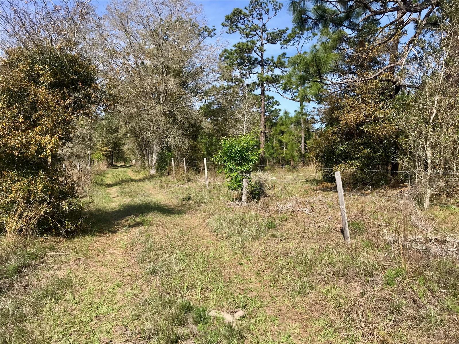 00 Unnamed Property Photo 44