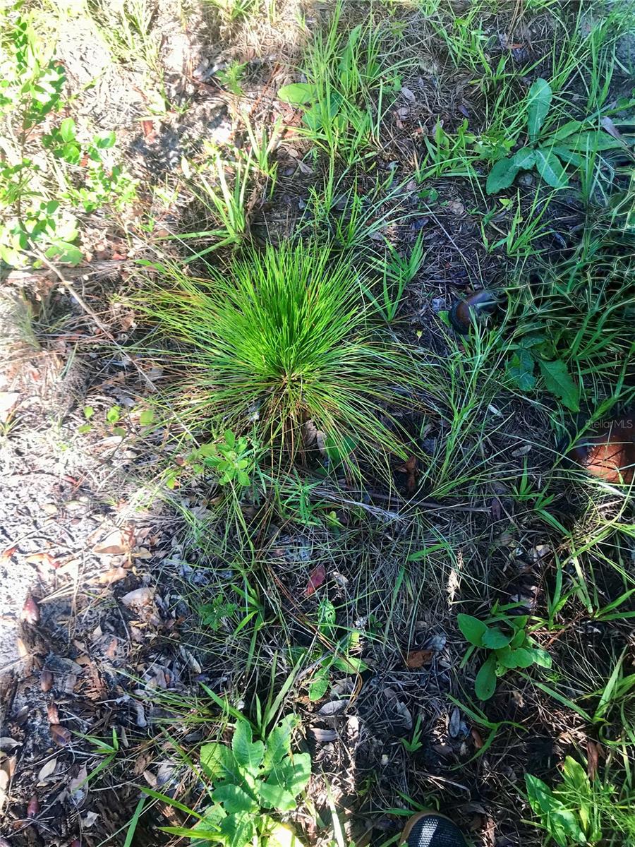 00 Unnamed Property Photo 45