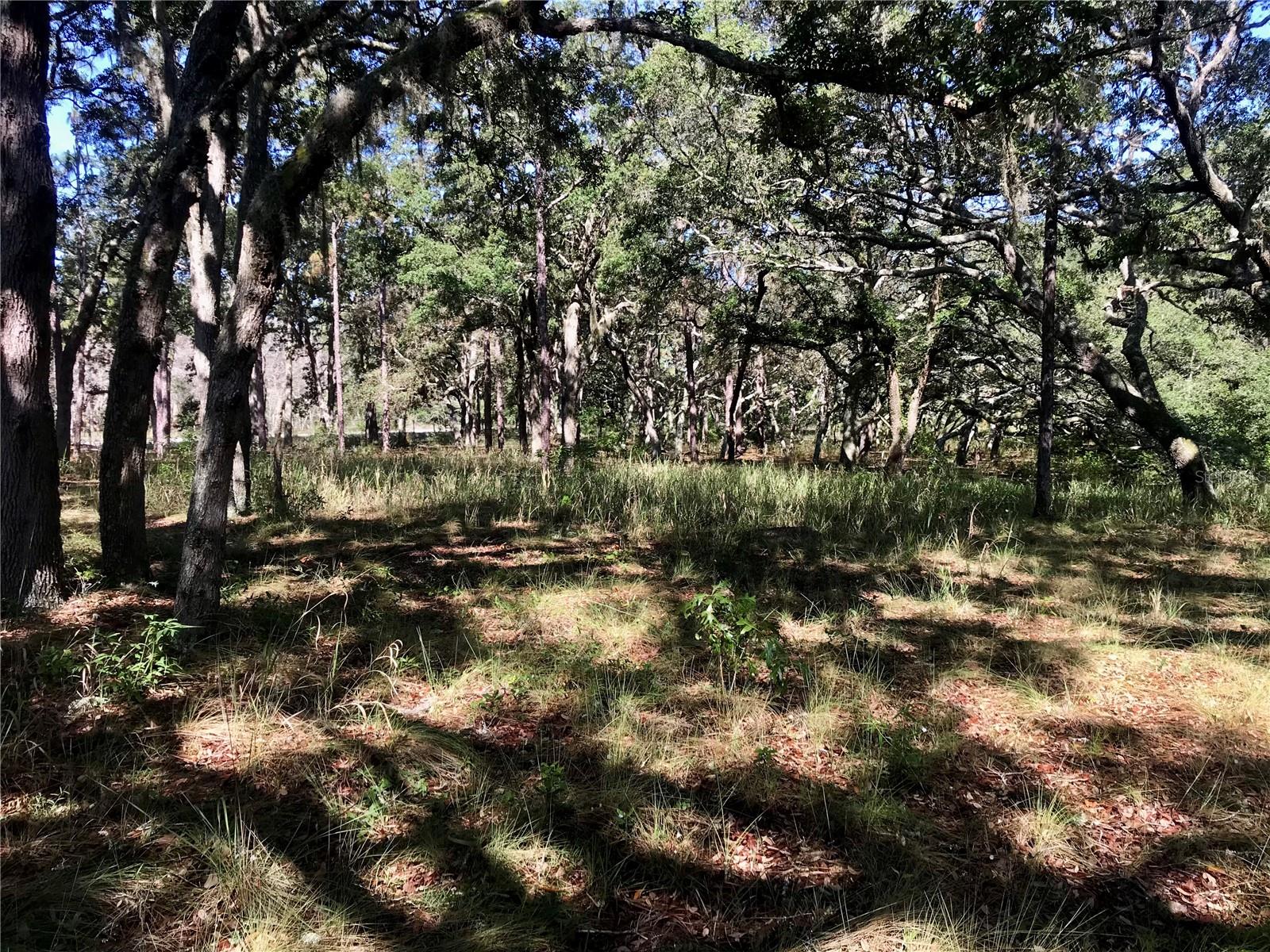 00 Unnamed Property Photo 46