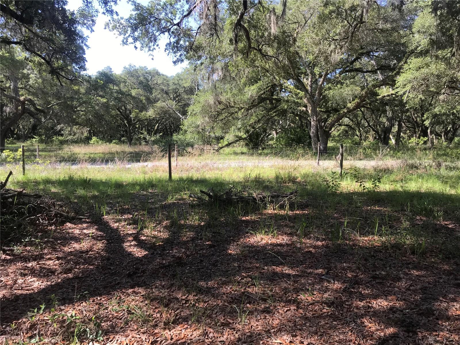 00 Unnamed Property Photo 48