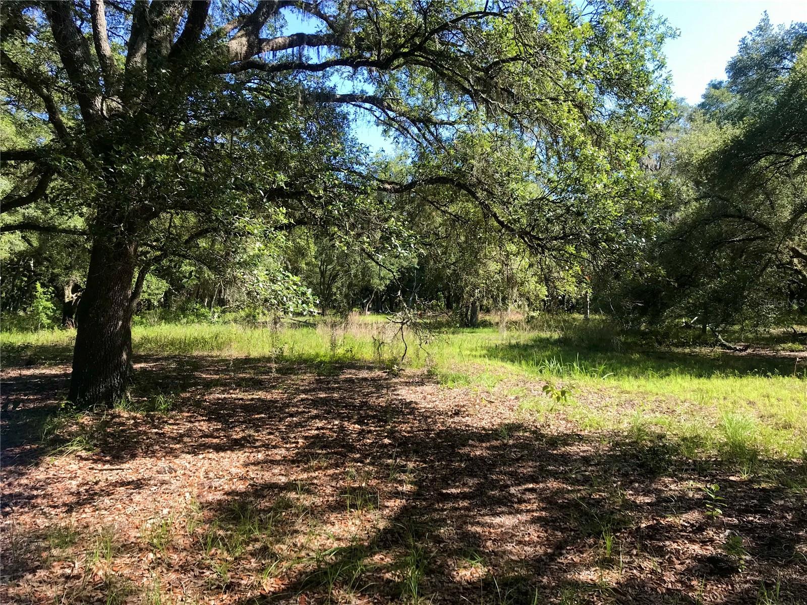 00 Unnamed Property Photo 49