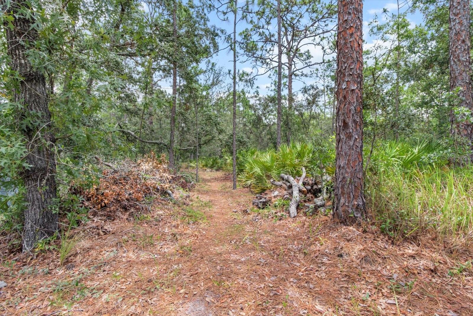 6544 W Mae Property Photo 21