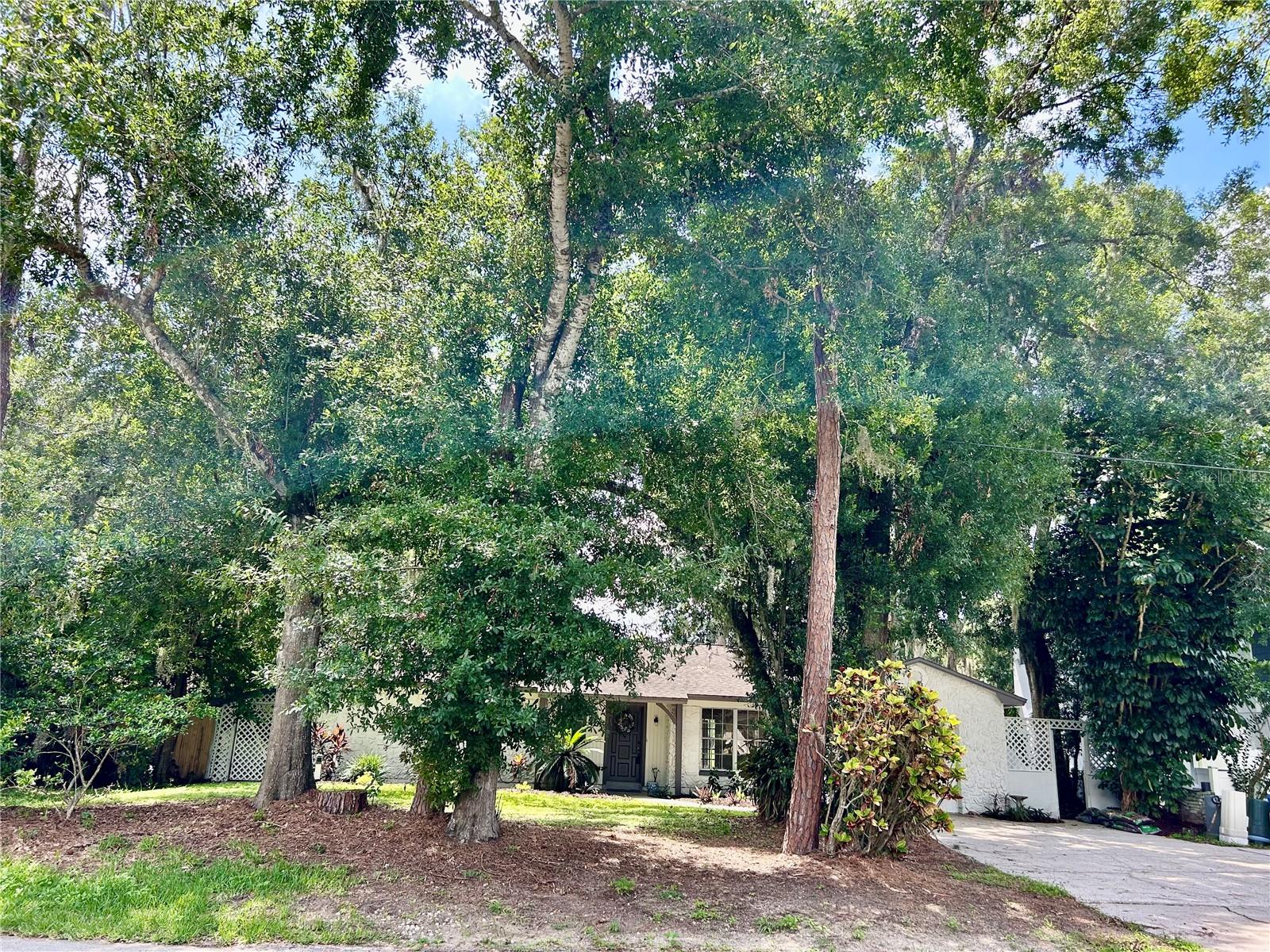 17017 Paula Ln Property Photo 8