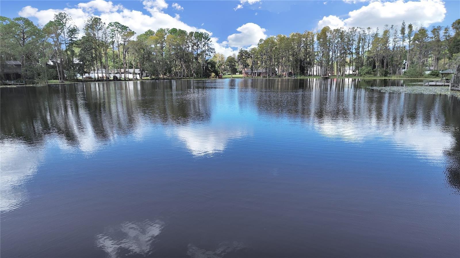 17017 Paula Ln Property Photo 36