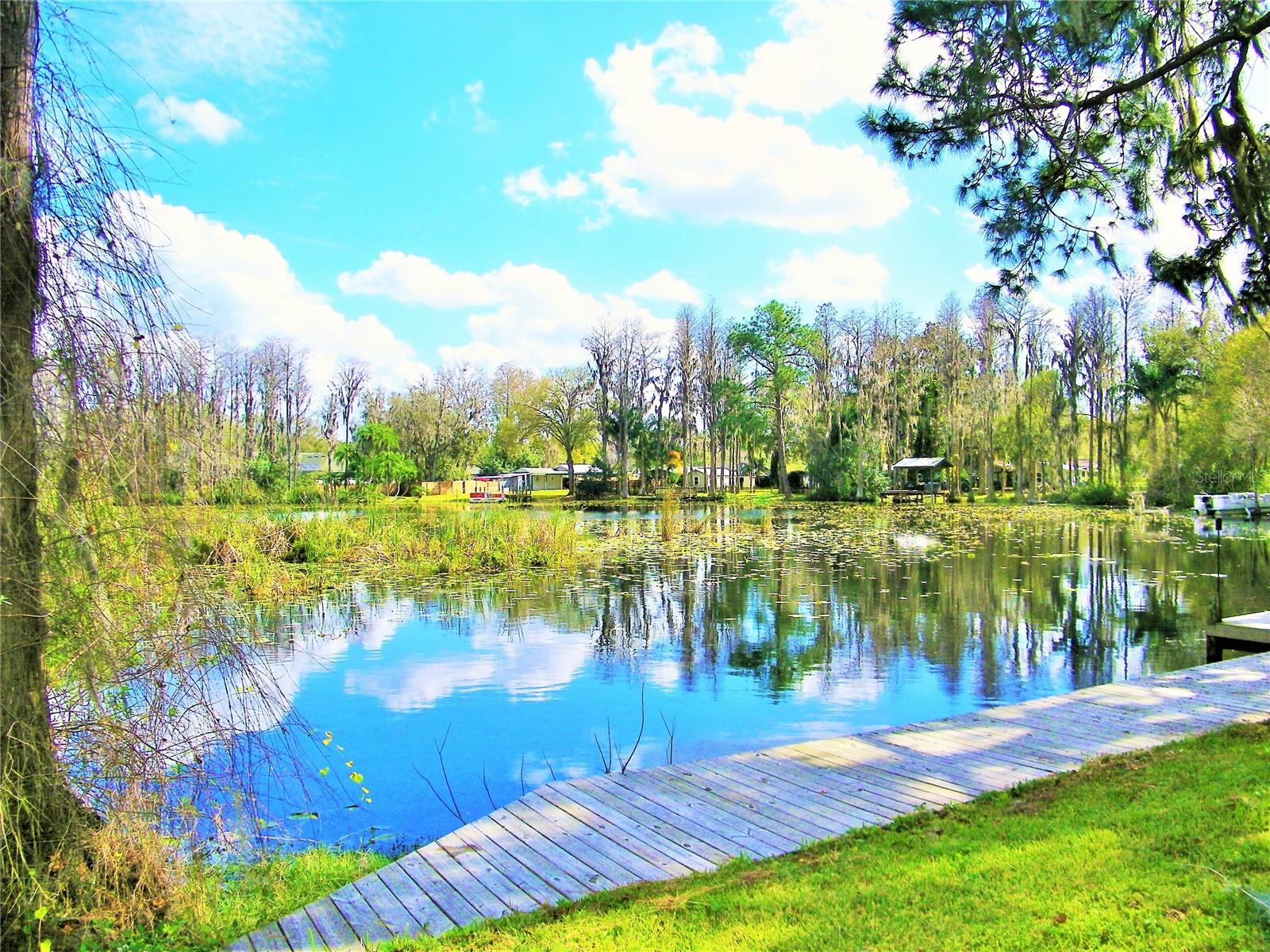 17017 Paula Ln Property Photo 45
