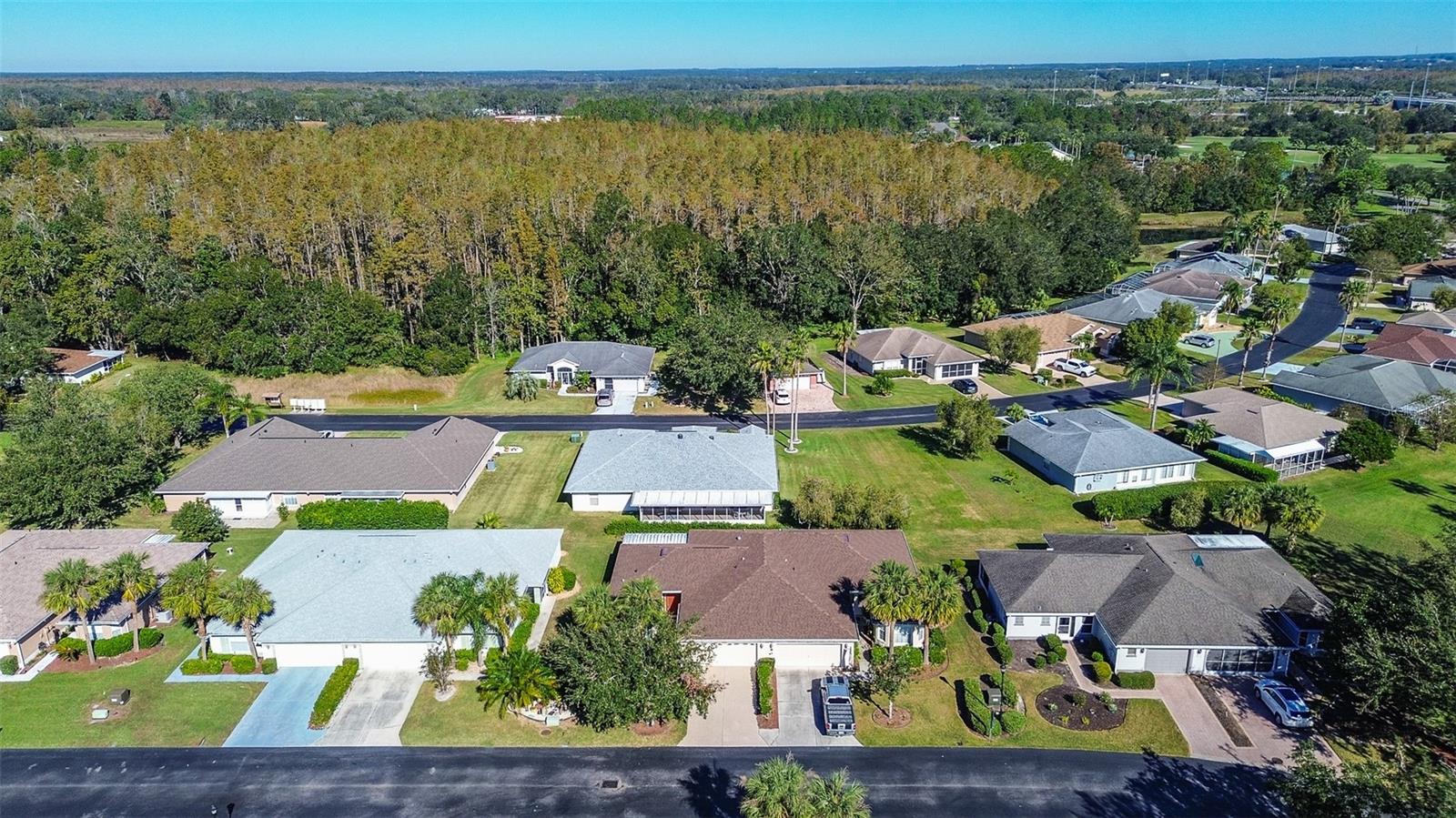 29417 Caddyshack Ln Property Photo 30