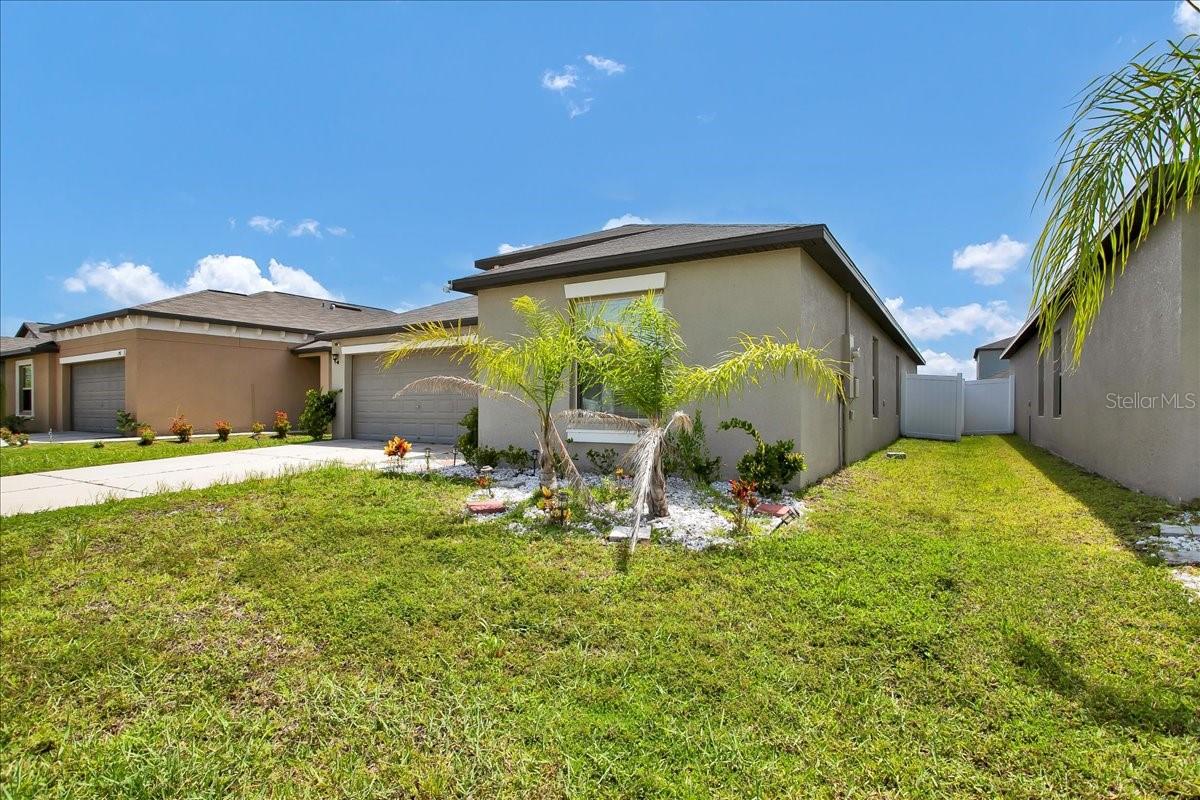 769 Calico Scallop St Property Photo 2