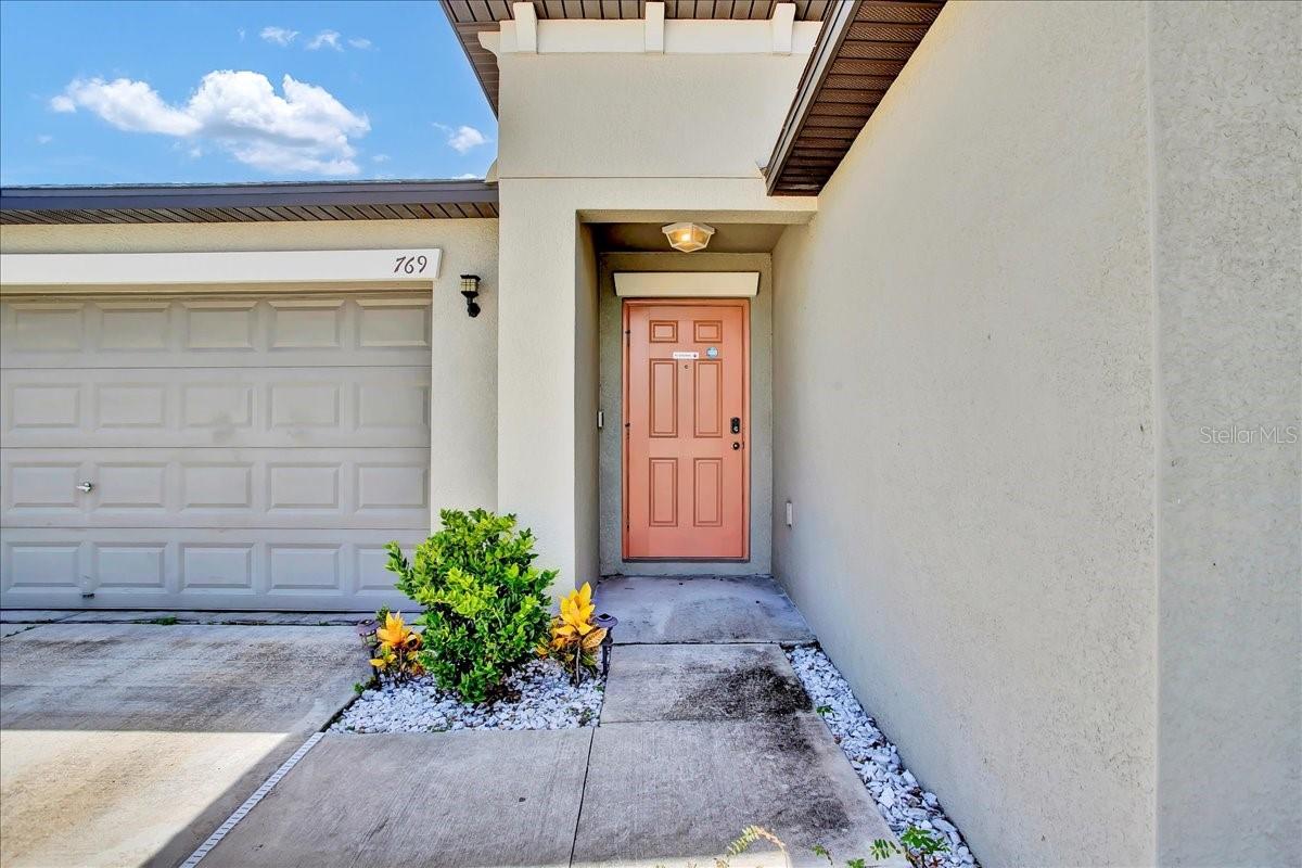 769 Calico Scallop St Property Photo 4
