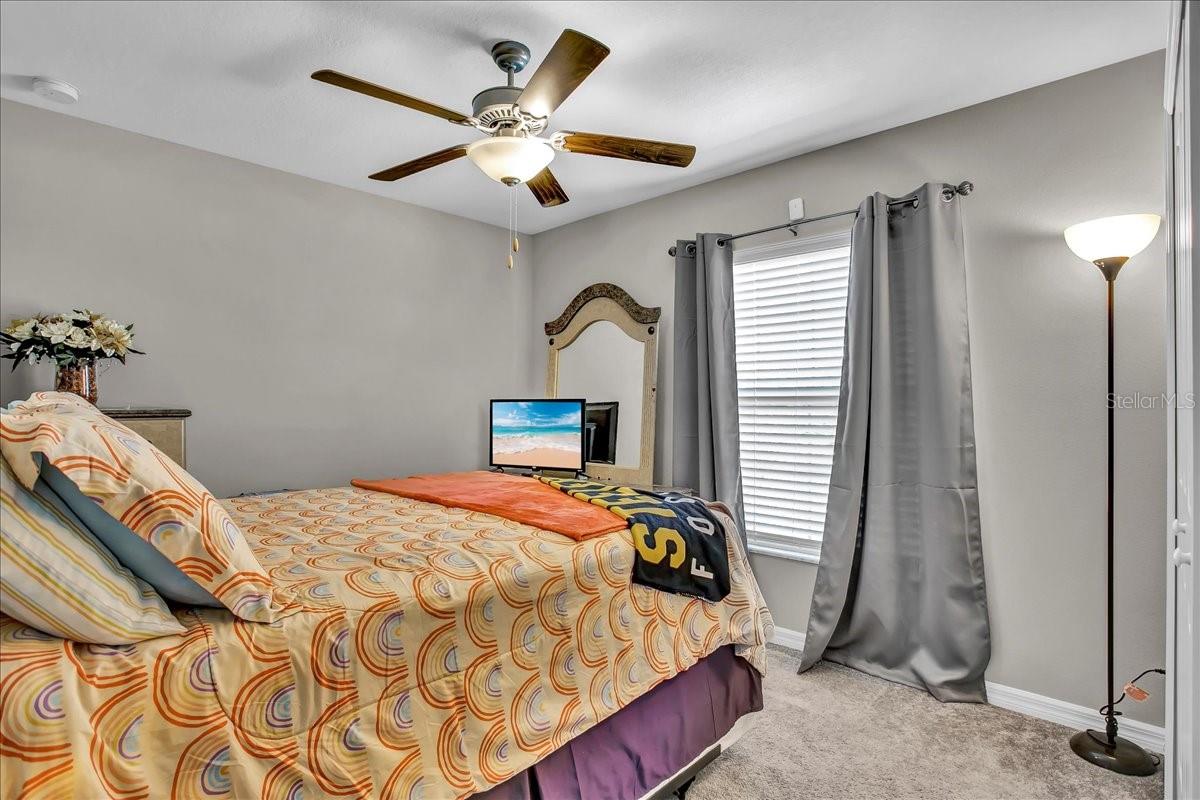 769 Calico Scallop St Property Photo 20