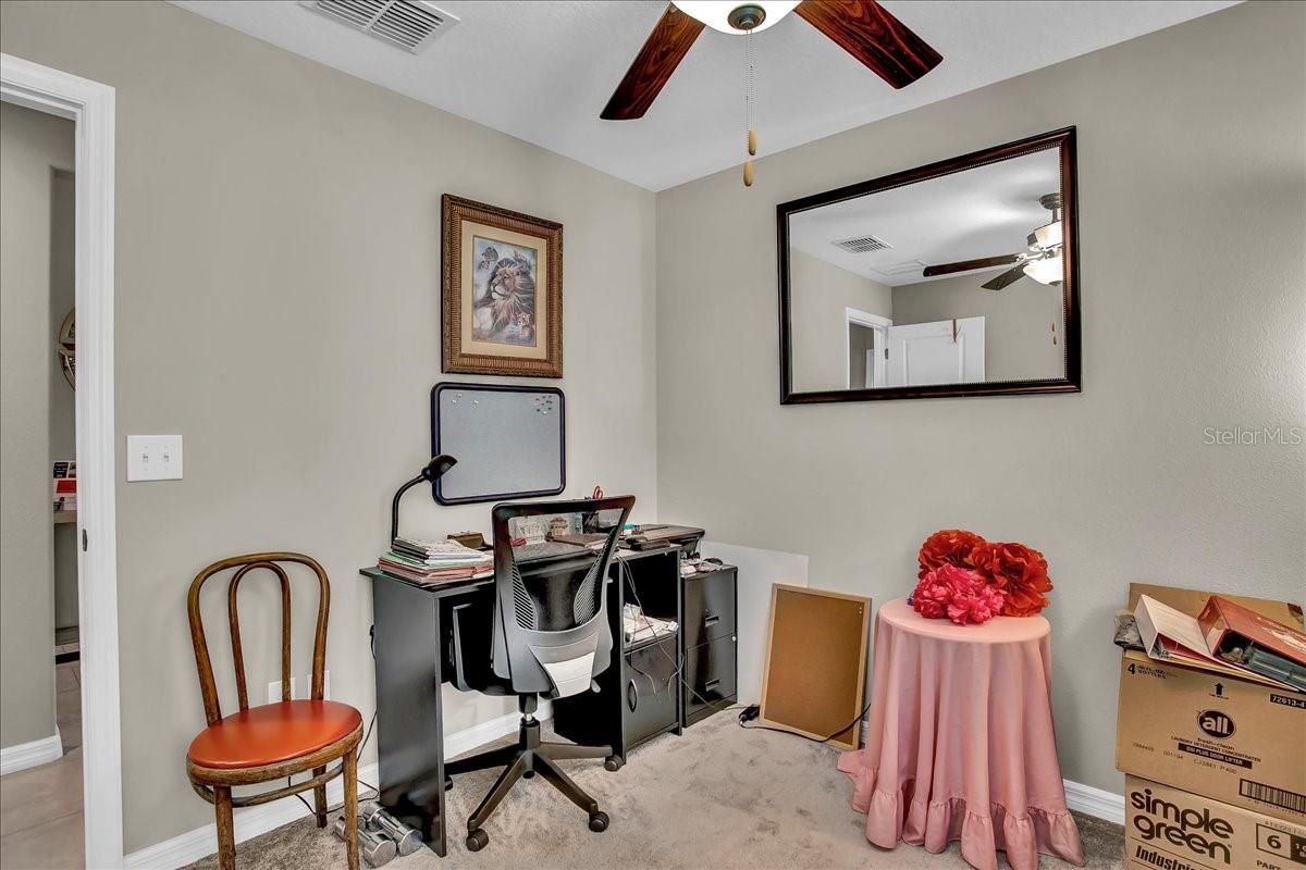 769 Calico Scallop St Property Photo 39