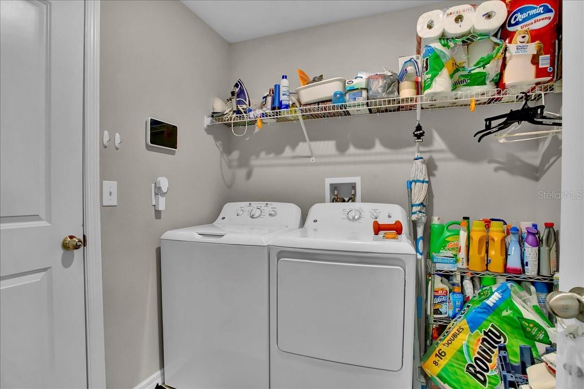 769 Calico Scallop St Property Photo 46