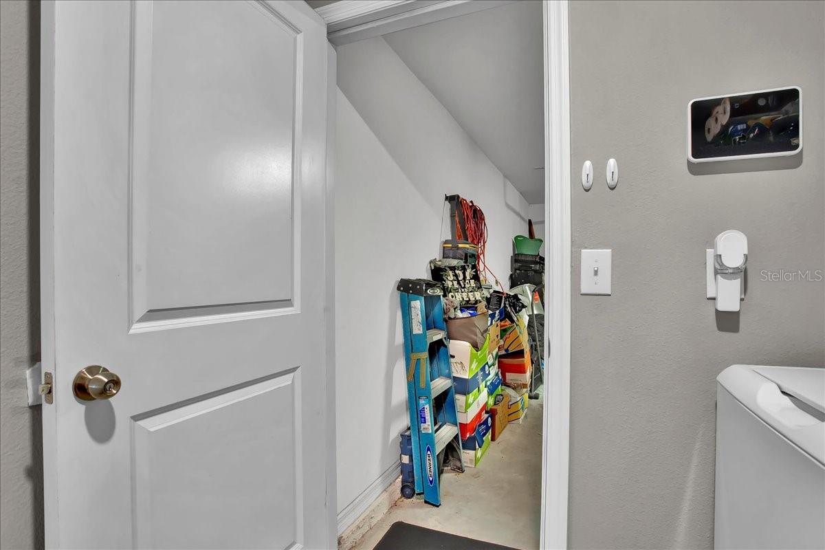 769 Calico Scallop St Property Photo 49