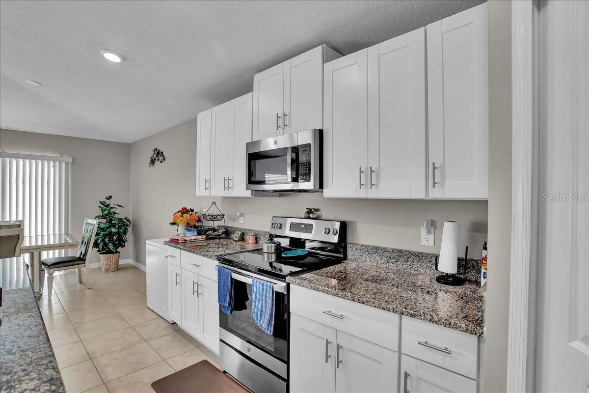 769 Calico Scallop St Property Photo 62