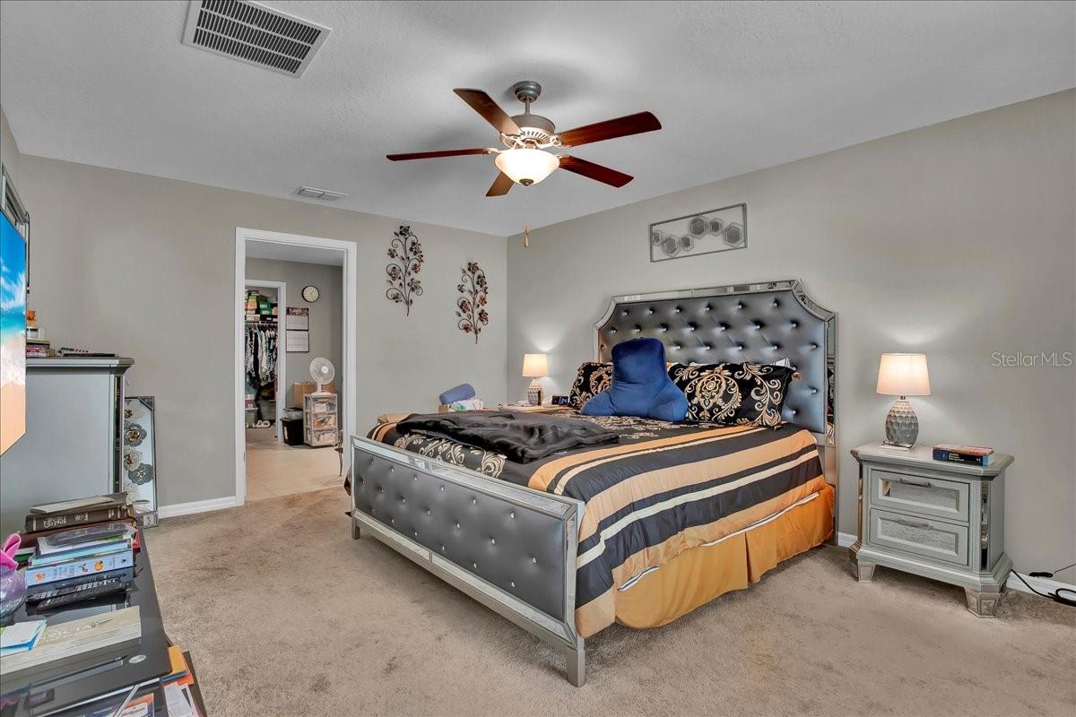 769 Calico Scallop St Property Photo 67