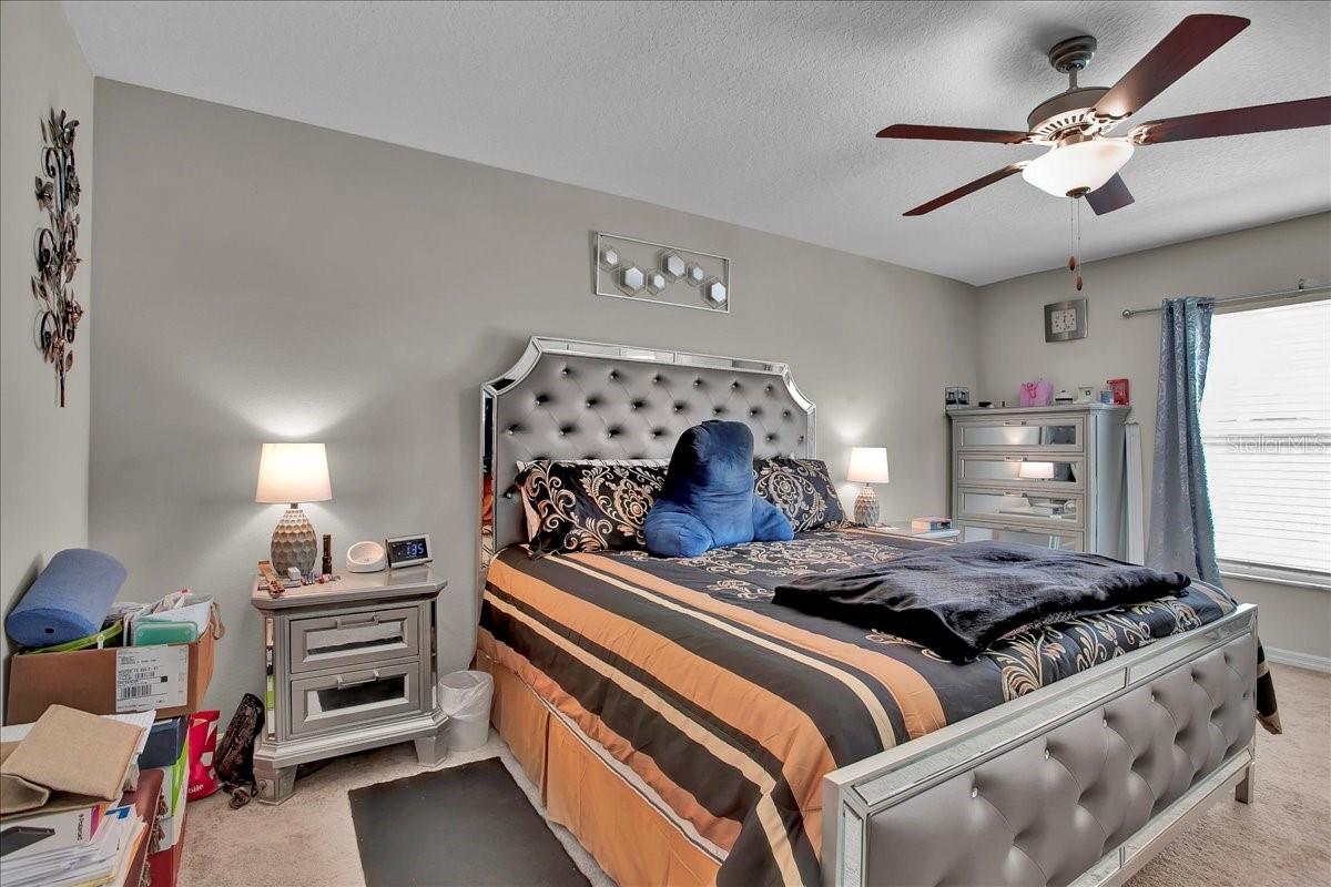 769 Calico Scallop St Property Photo 68