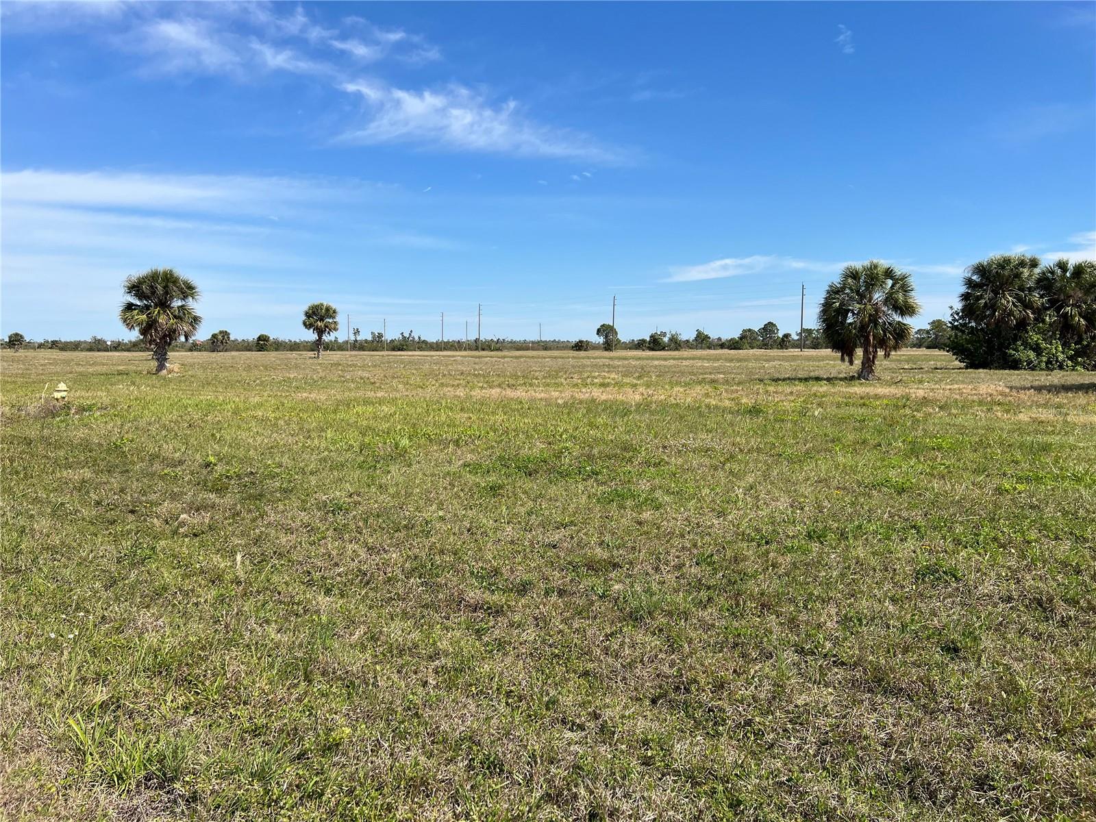 12360 Greenling Way Property Photo 1
