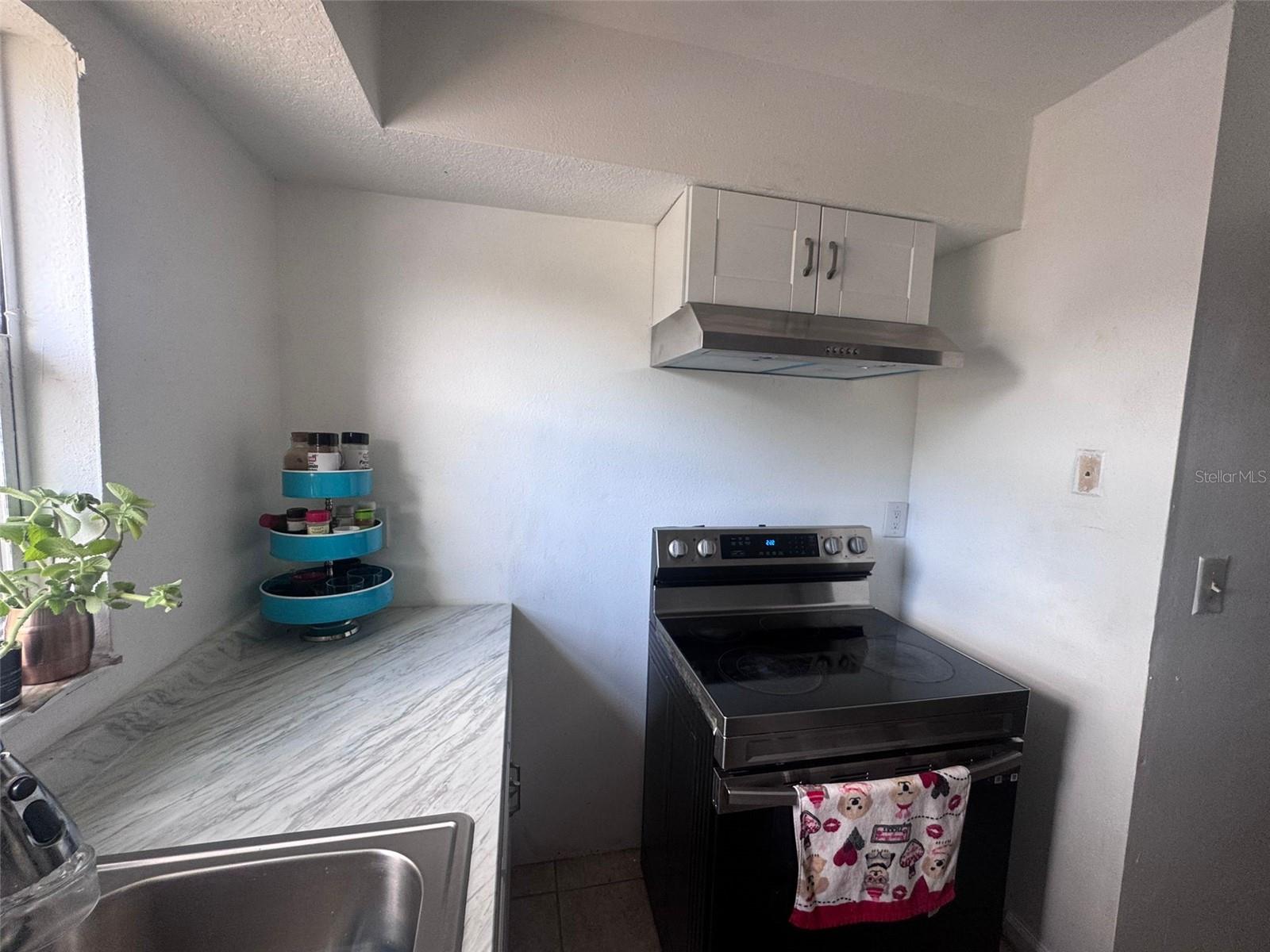 7210 N Manhattan Ave #2423 Property Photo 8