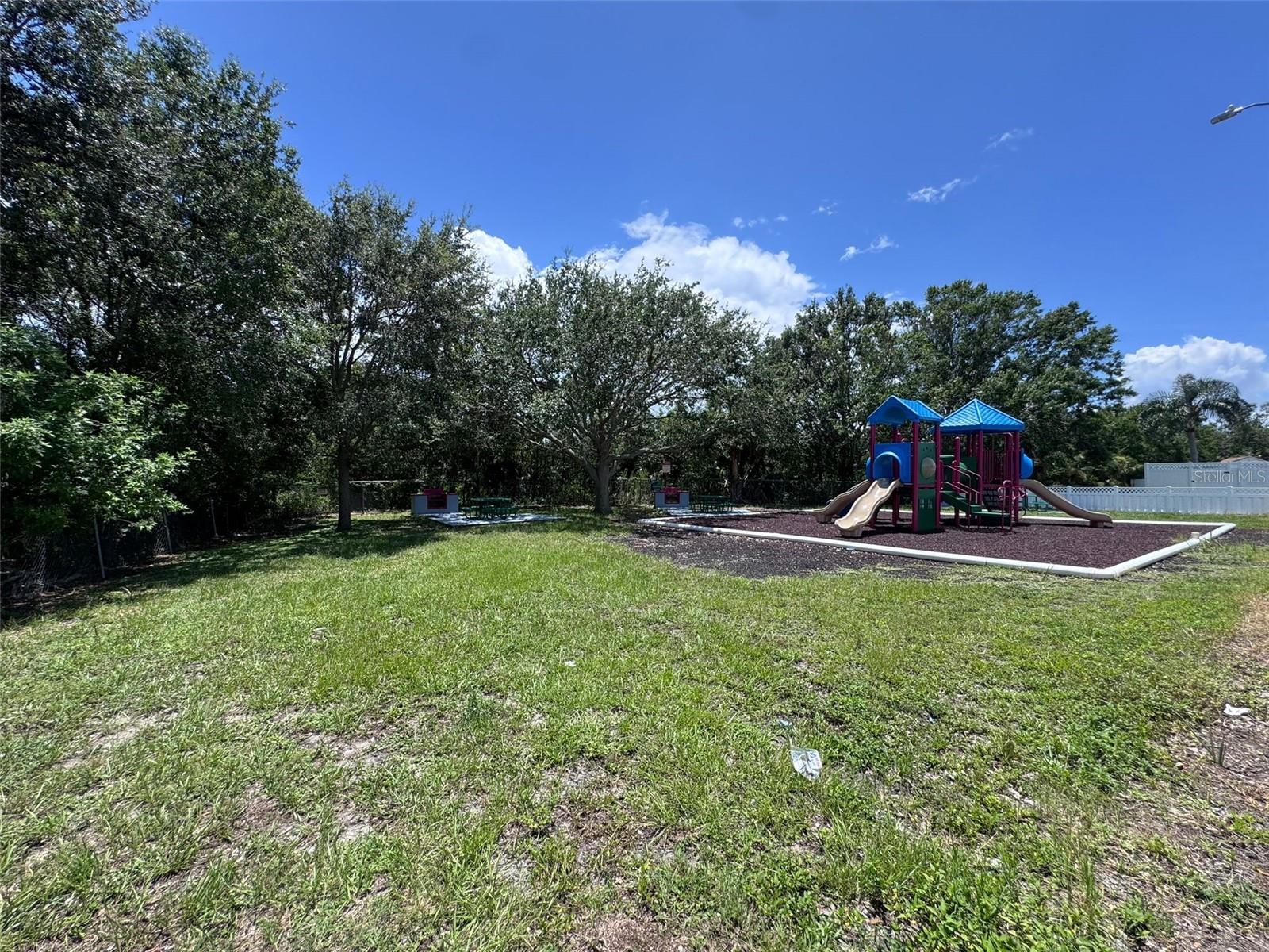 7210 N Manhattan Ave #2423 Property Photo 51