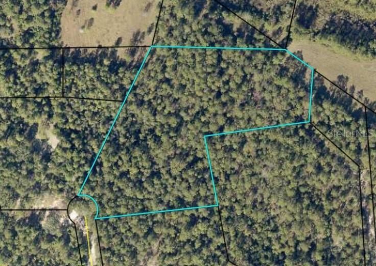 Tbd Bear Head Rd Property Photo 1