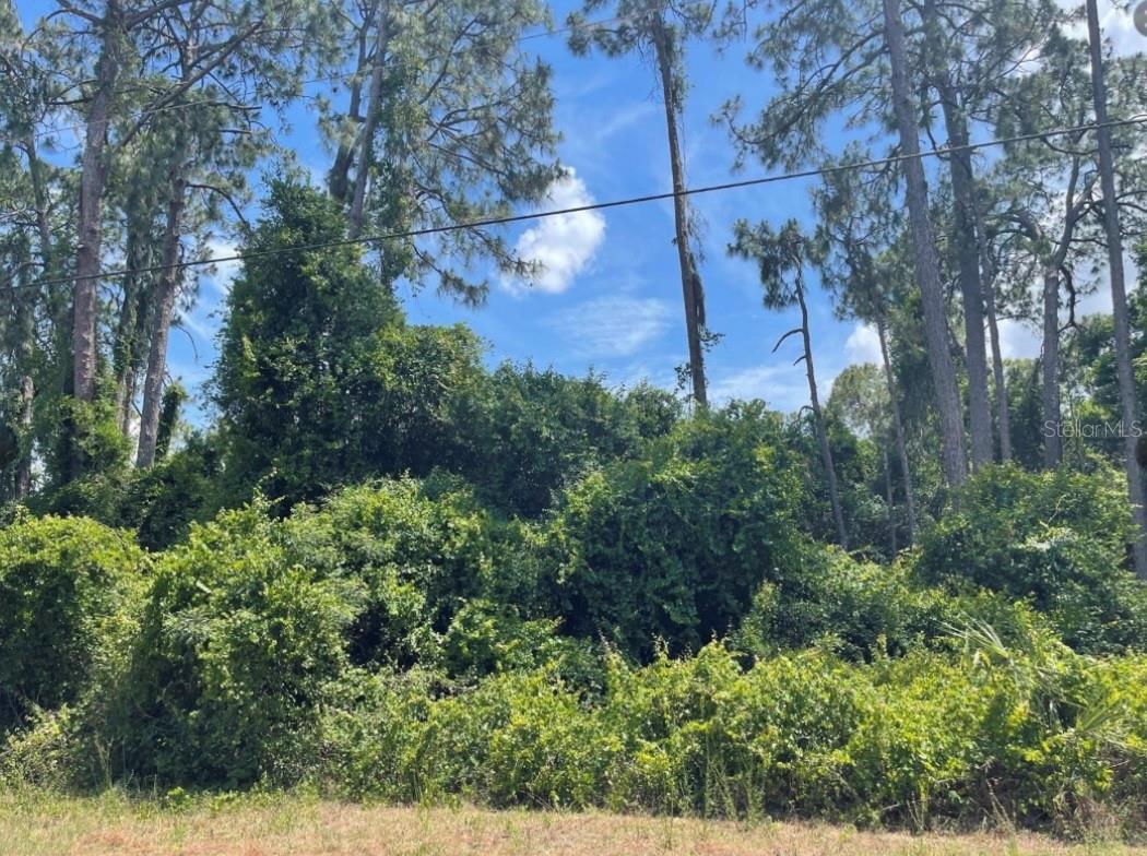 Senate Ave Property Photo 3