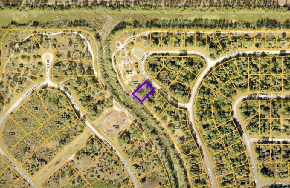 CAPER CIR Property Photo 1