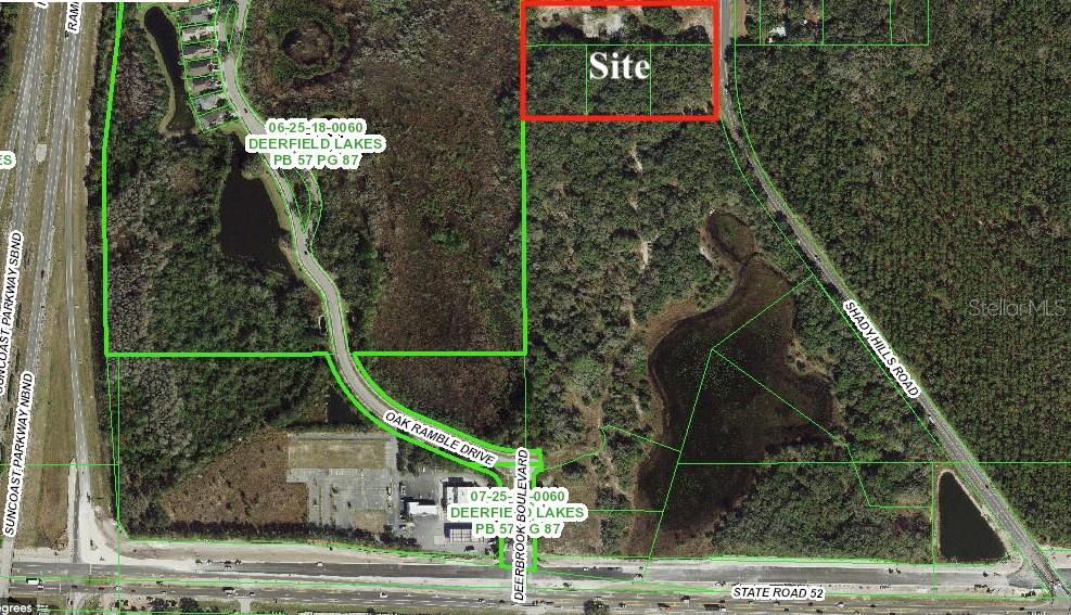12231 Shady Hills Rd Property Photo 2