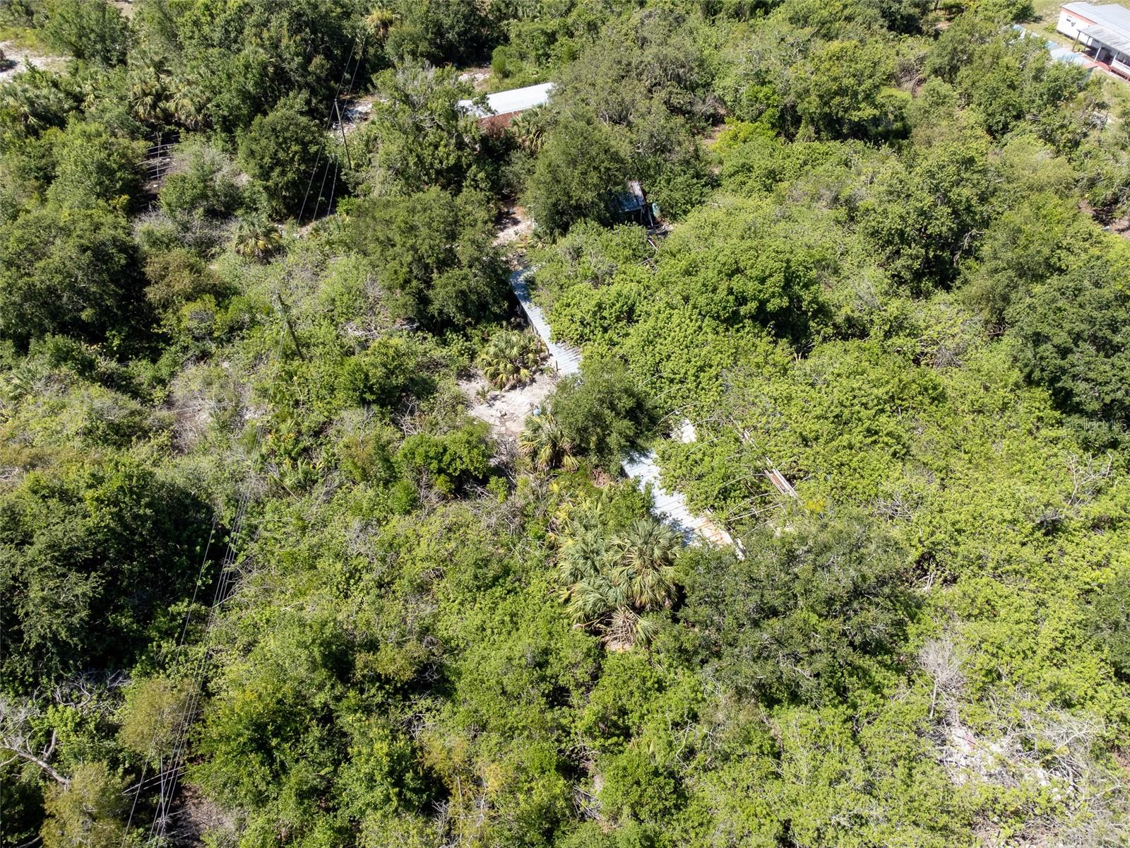 12020 Bullfrog Creek Rd Property Photo 4