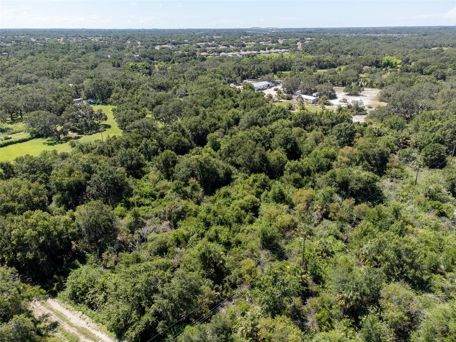 12020 Bullfrog Creek Rd Property Photo 5
