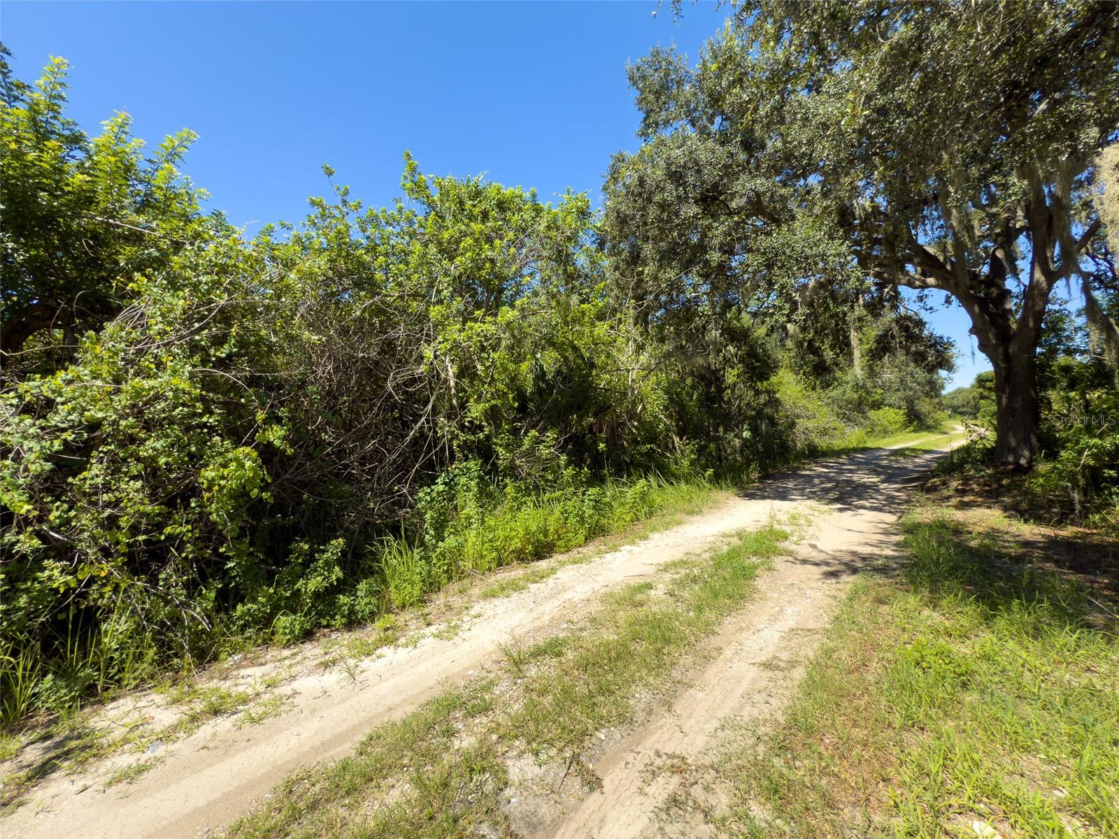 12020 Bullfrog Creek Rd Property Photo 7