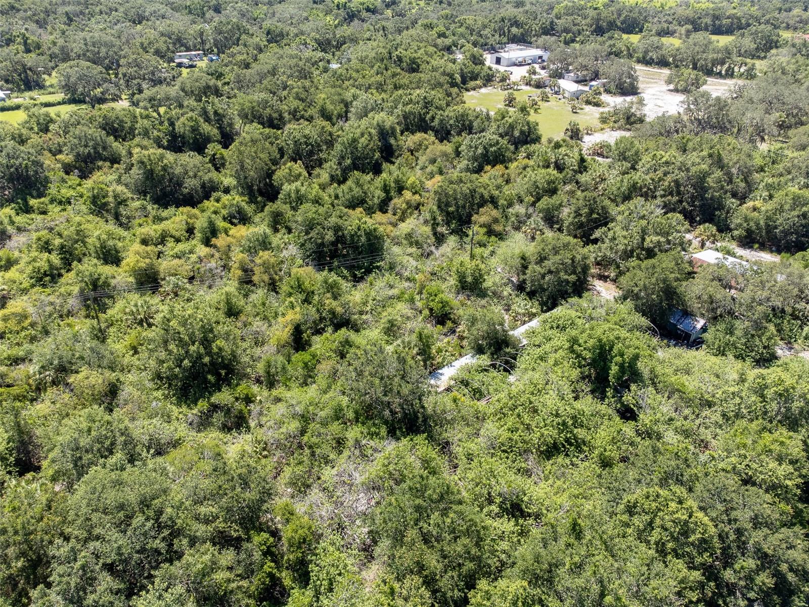 12020 Bullfrog Creek Rd Property Photo 13