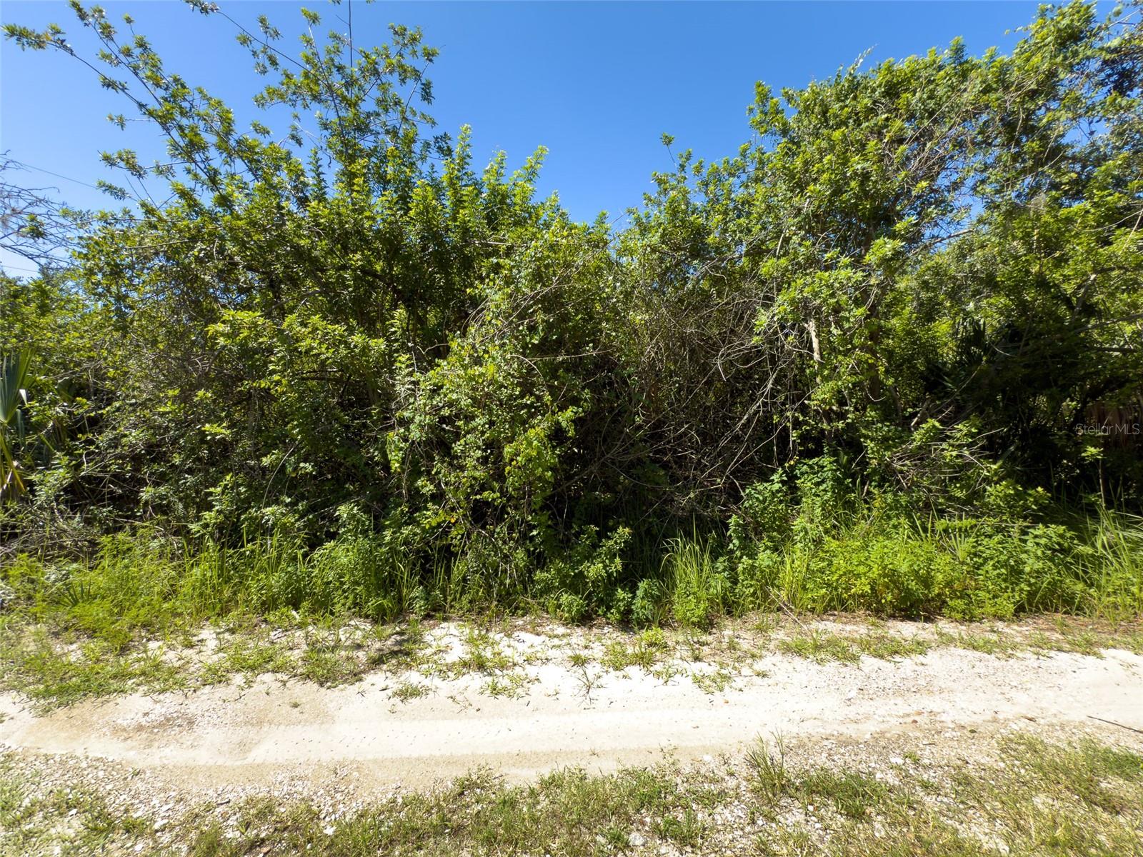 12020 Bullfrog Creek Rd Property Photo 14
