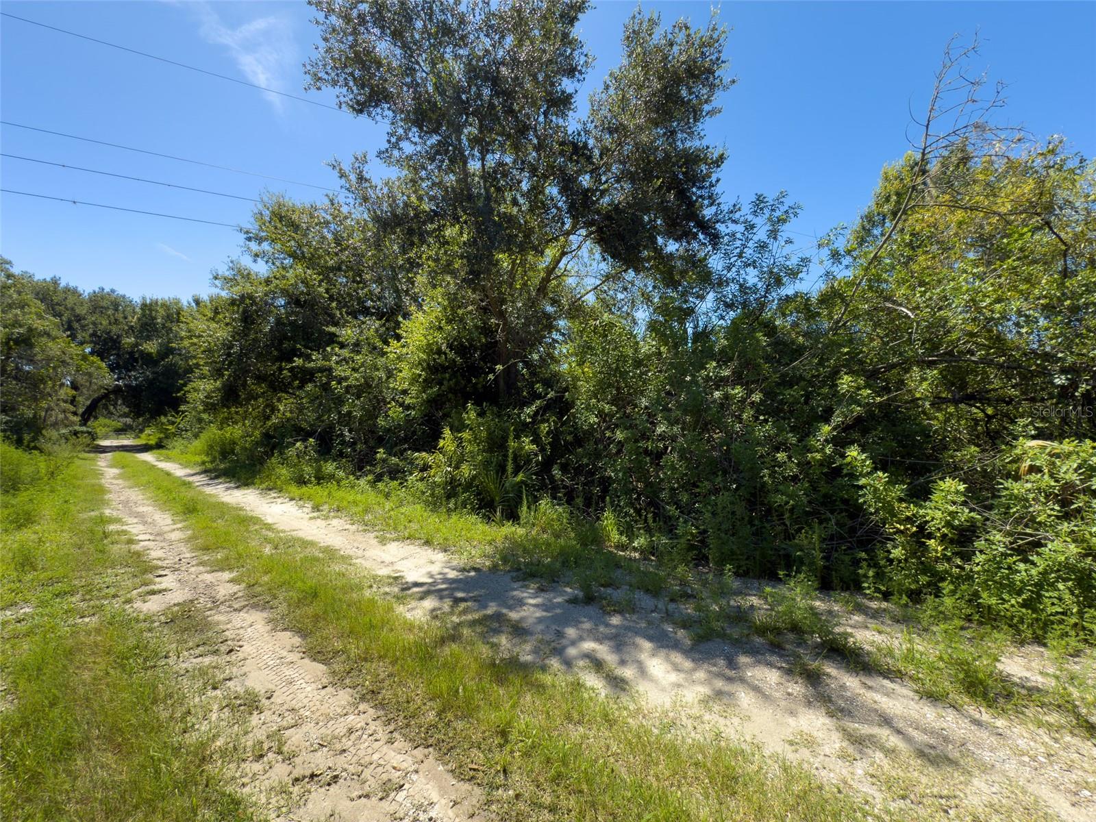 12020 Bullfrog Creek Rd Property Photo 15