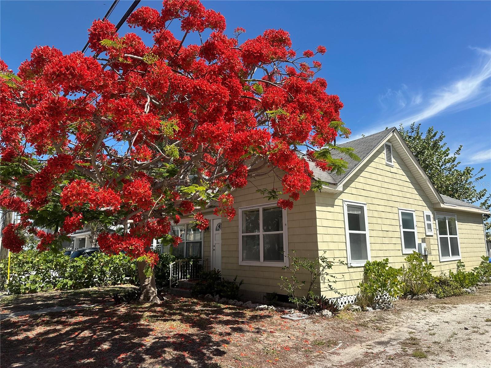 8405 Bayshore Dr Property Photo 1