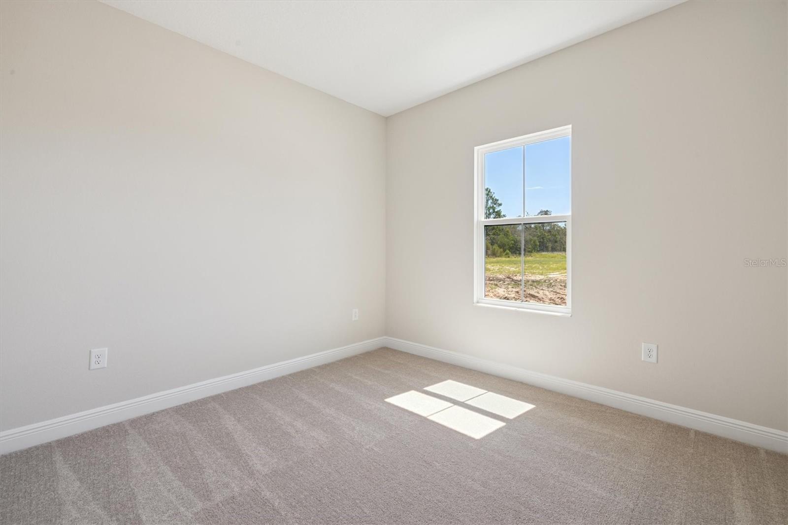 13132 Long Valley Cir Property Photo 17