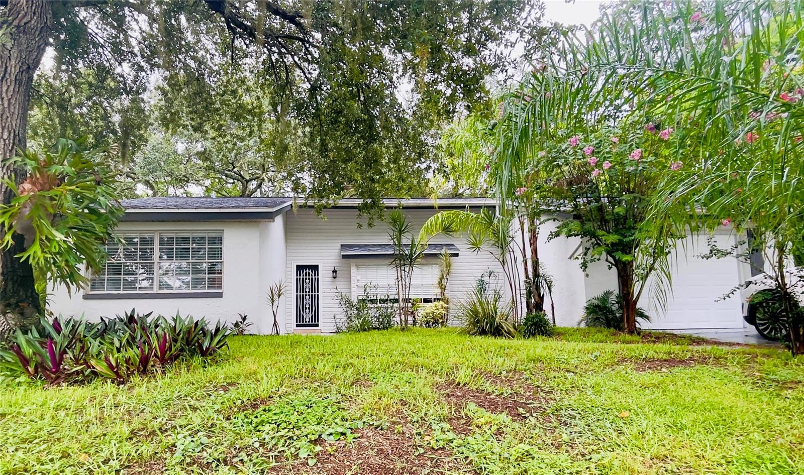 12101 Camp Creek Ln Property Photo 1