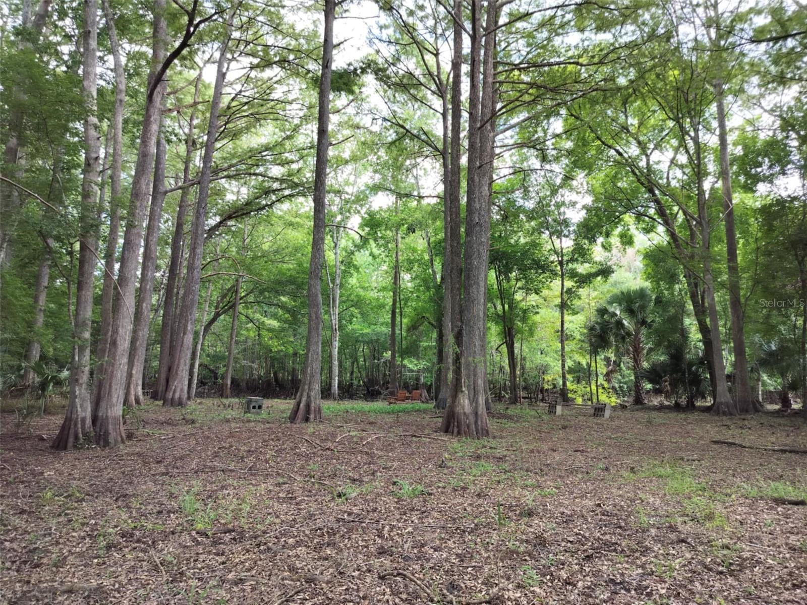 523 S Tuck Pt Property Photo 4