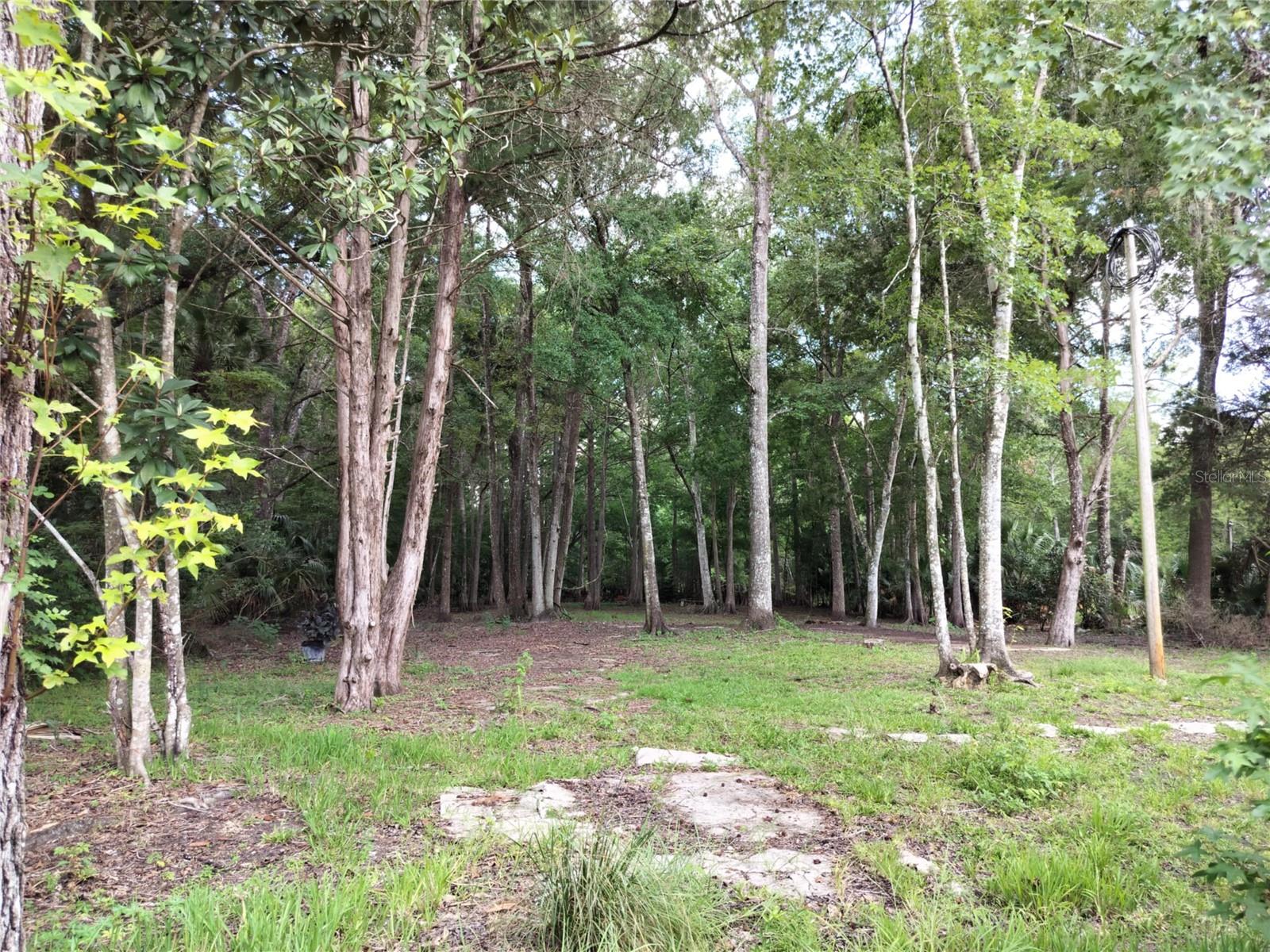 523 S Tuck Pt Property Photo 8
