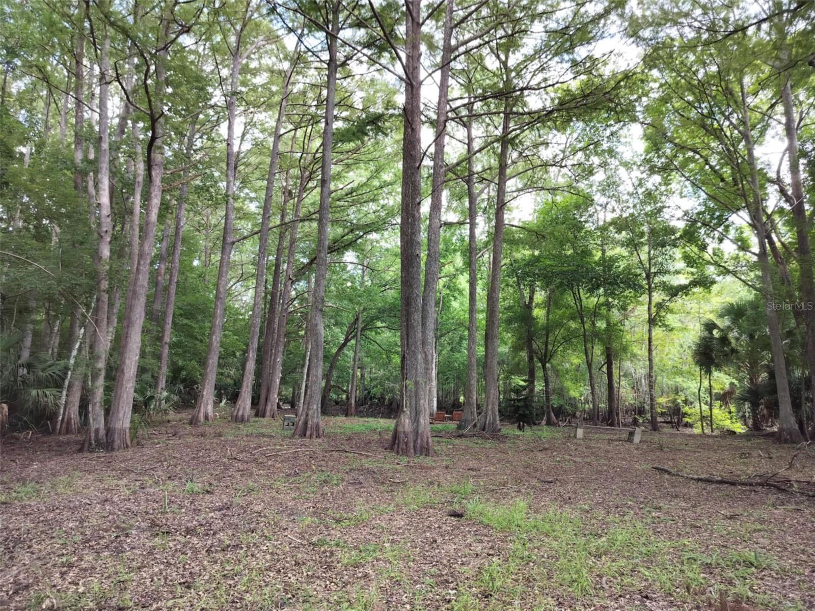 523 S Tuck Pt Property Photo 13